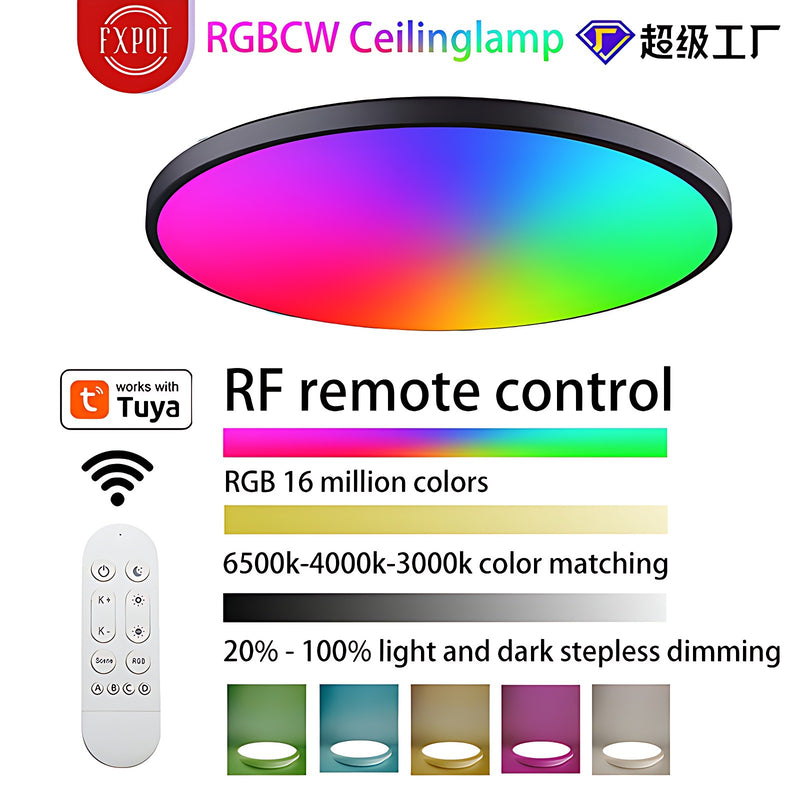 Chargez l&#39;image dans la visionneuse de la galerie, [TUYA Smart Home] RGB Dimmable LED 24W plafonnier contrôle sans fil chambre salon lumière 
