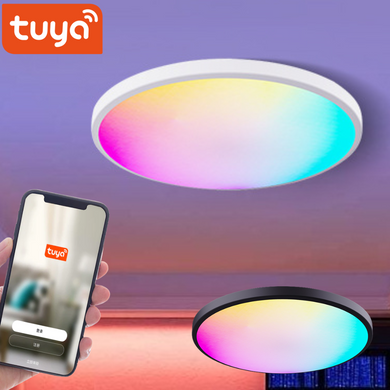 [TUYA Smart Home] RGB Dimmable LED 24W Ceiling Light Wireless Control Bedroom Living Room Light - Polar Tech Australia